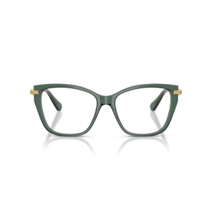 Swarovski SK 2060 Col.1043 Cal.53 New Occhiali da Vista