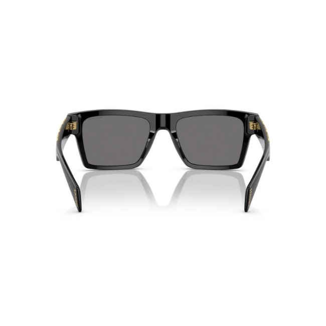 VERSACE VE4445 col. GB1/81 è un occhiale da sole in acetato e calibro 54.