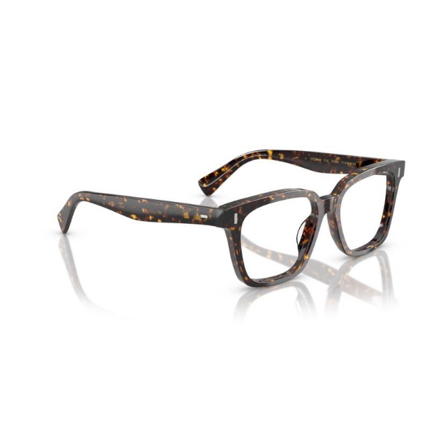 Oliver Peoples 5568U VISTA col. 1741 è un occhiale da sole da donna in acetato marrone tartarugato, dalla forma pillow e calibro 51.