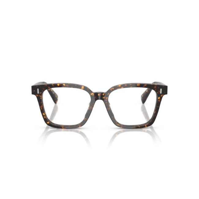 Oliver Peoples 5568U VISTA col. 1741 è un occhiale da sole da donna in acetato marrone tartarugato, dalla forma pillow e calibro 51.
