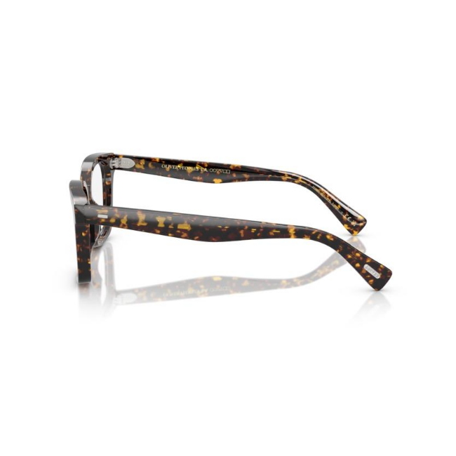 Oliver Peoples 5568U VISTA col. 1741 è un occhiale da sole da donna in acetato marrone tartarugato, dalla forma pillow e calibro 51.