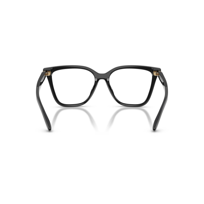 Emporio Armani EA 4254U col. 5017/1W è un occhiale da sole da donna in acetato nero lucido, dalla forma cat eye e calibro 54.