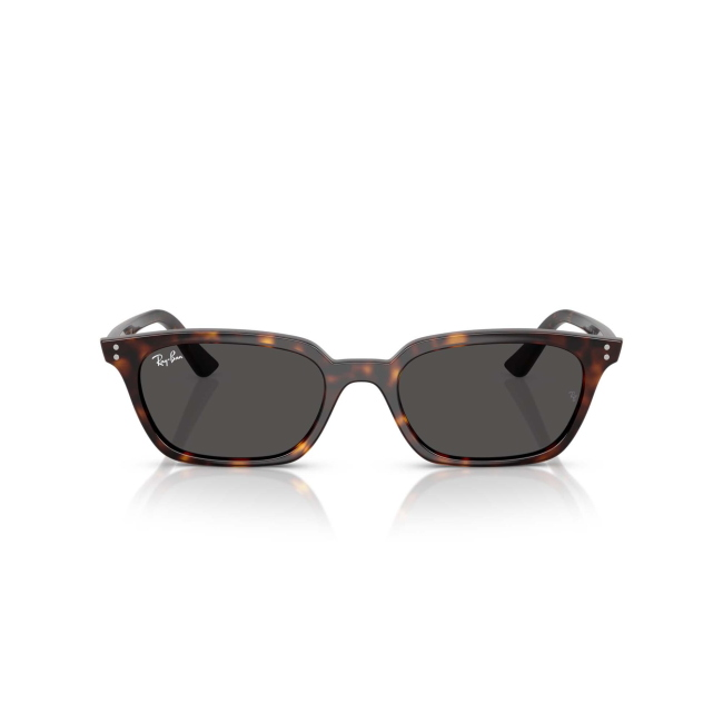 Ray-Ban RB 4456 ZAYA col. 1359/87 è un occhiale da sole in acetato marrone tartarugato e calibro 53.
