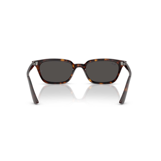 Ray-Ban RB 4456 ZAYA col. 1359/87 è un occhiale da sole in acetato marrone tartarugato e calibro 53.