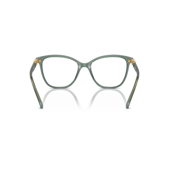 Swarovski SK 2020 Col.1043 Cal.54 New Occhiali da Vista
