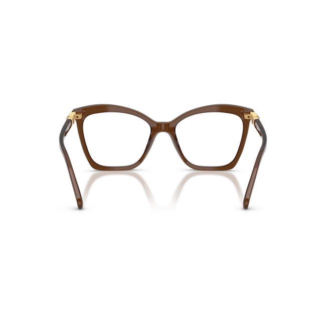 Swarovski SK 2053 col. 1084 è una montatura da vista da donna in acetato marrone trasparente, dalla forma cat eye e calibro 54.