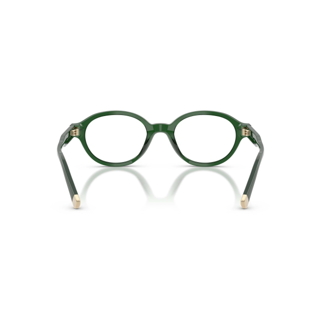 Polo Ralph Lauren PH 2305U col. 6361 è una montatura da vista in acetato trasparente verde scuro e calibro 50.