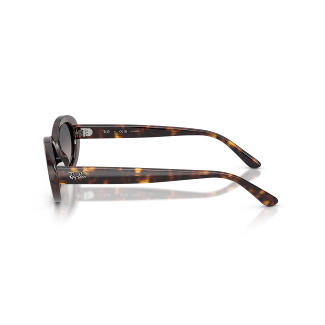 Ray-Ban RB 2223 Col.902/M3 Cal.54: occhiale da sole, calibro 54, colore 902/M3. Materiale/finitura celluloide marrone tartarugato, colore principale marroni, lenti grigia sfumata polarizzata.